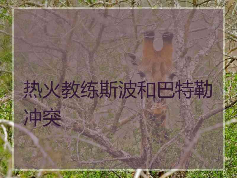 热火教练斯波和巴特勒冲突