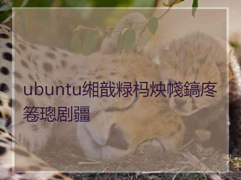 ubuntu缃戠粶杩炴帴鎬庝箞璁剧疆