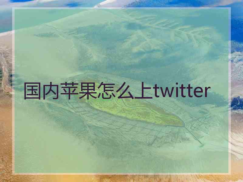 国内苹果怎么上twitter