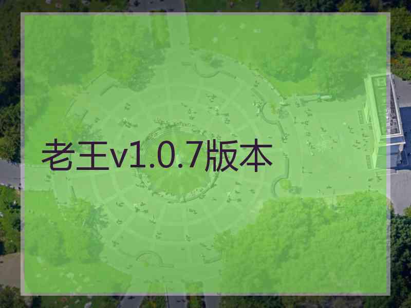 老王v1.0.7版本