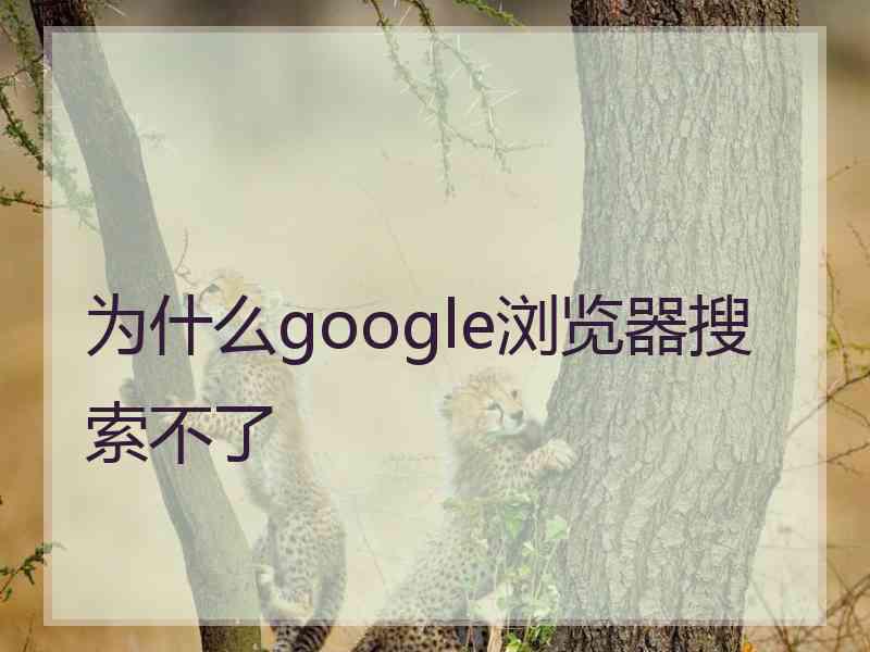 为什么google浏览器搜索不了