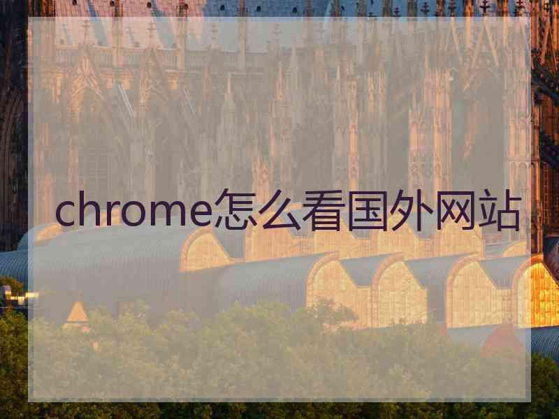 chrome怎么看国外网站