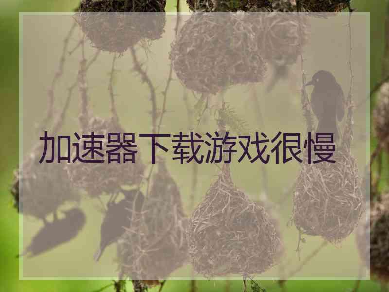 加速器下载游戏很慢