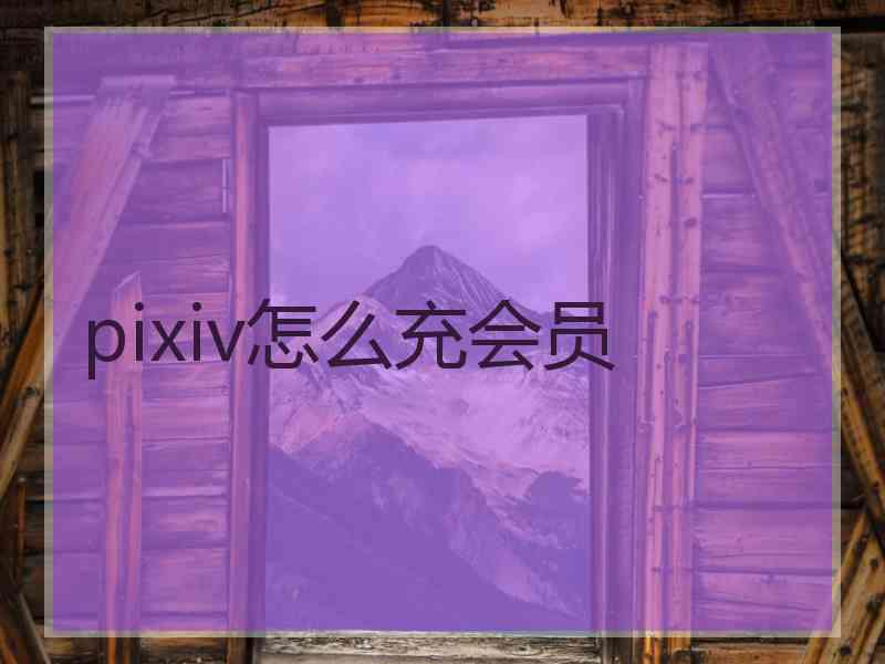 pixiv怎么充会员