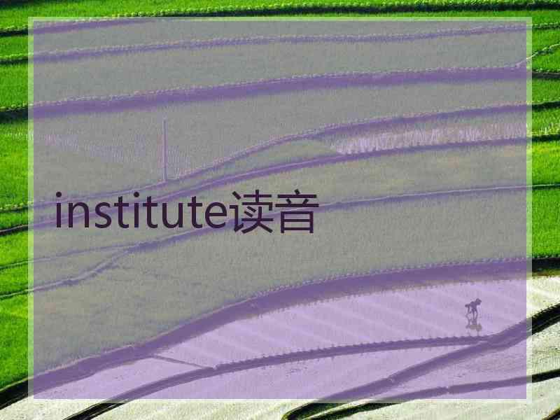 institute读音