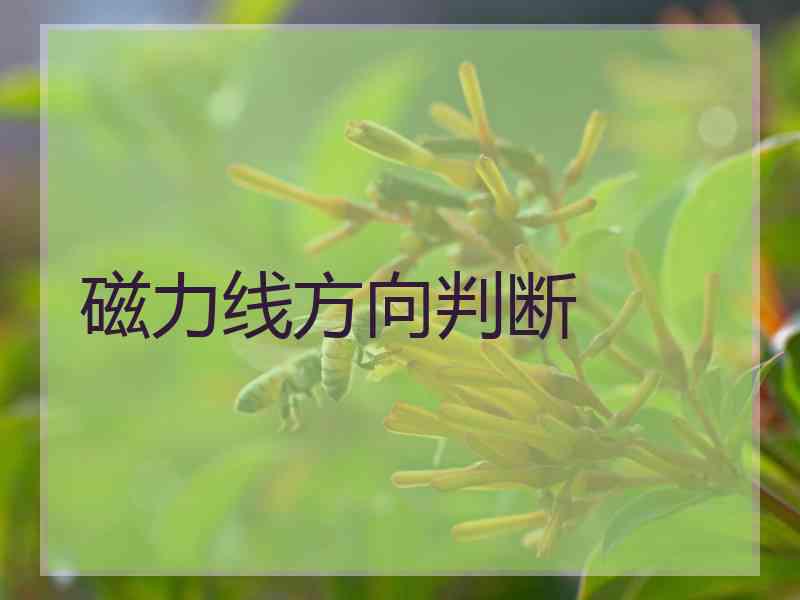 磁力线方向判断