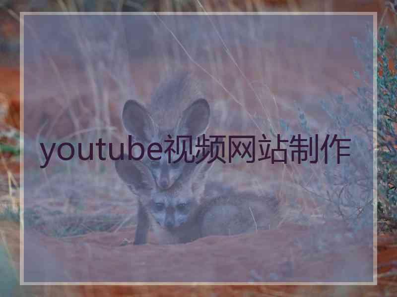 youtube视频网站制作