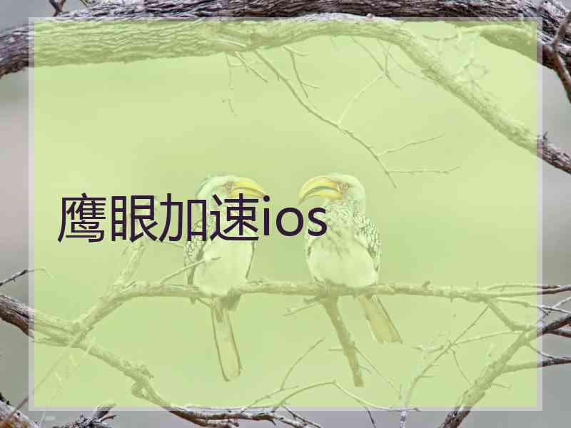 鹰眼加速ios