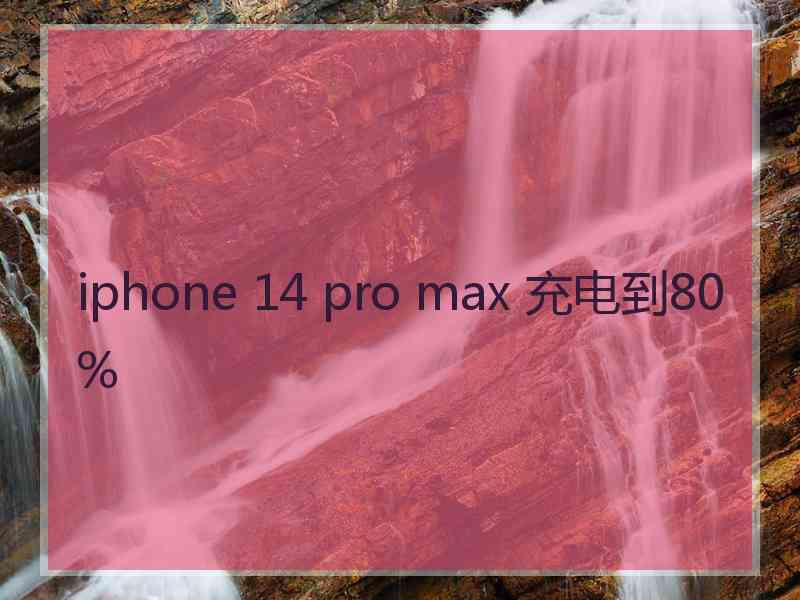 iphone 14 pro max 充电到80%