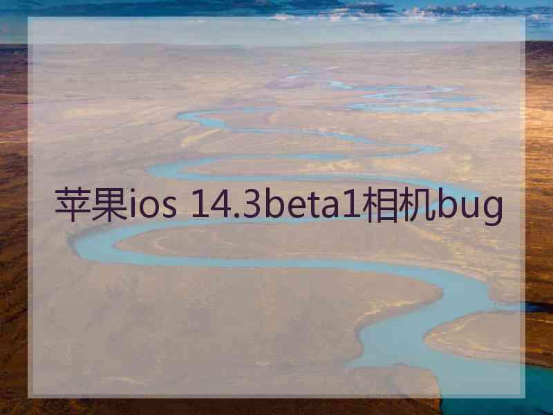 苹果ios 14.3beta1相机bug