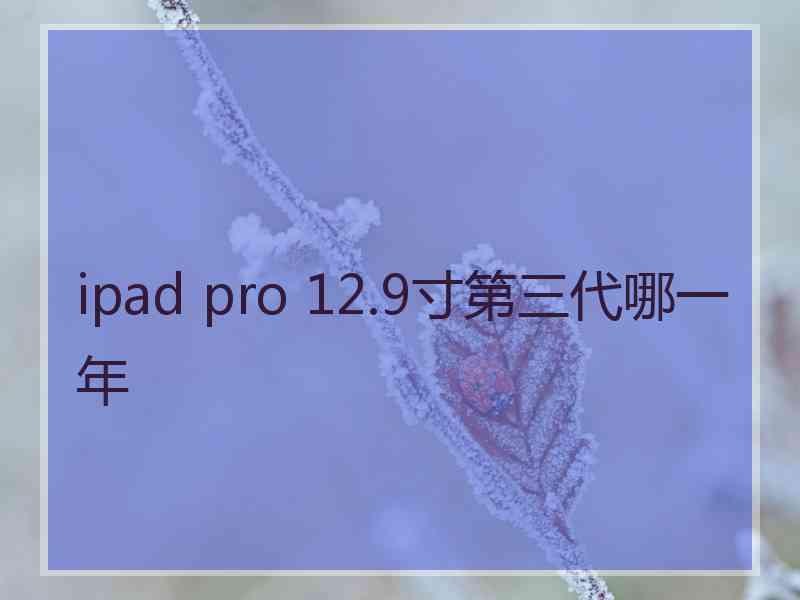 ipad pro 12.9寸第三代哪一年