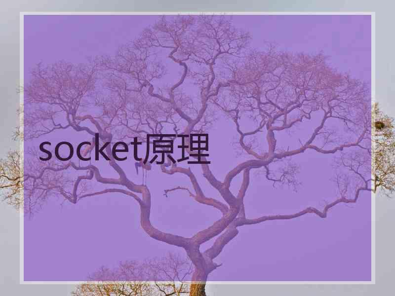 socket原理