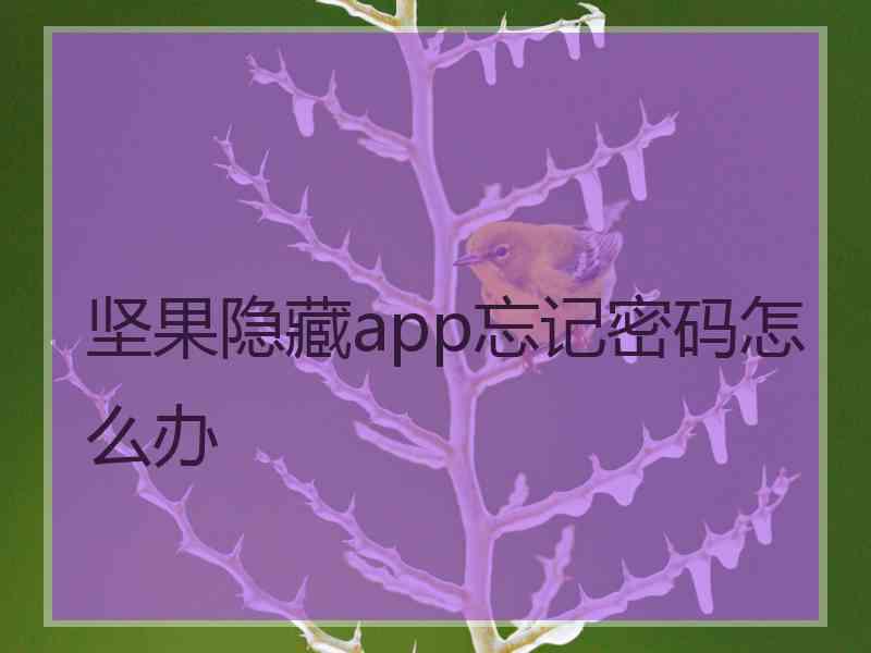 坚果隐藏app忘记密码怎么办