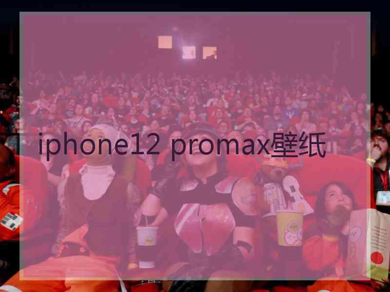 iphone12 promax壁纸