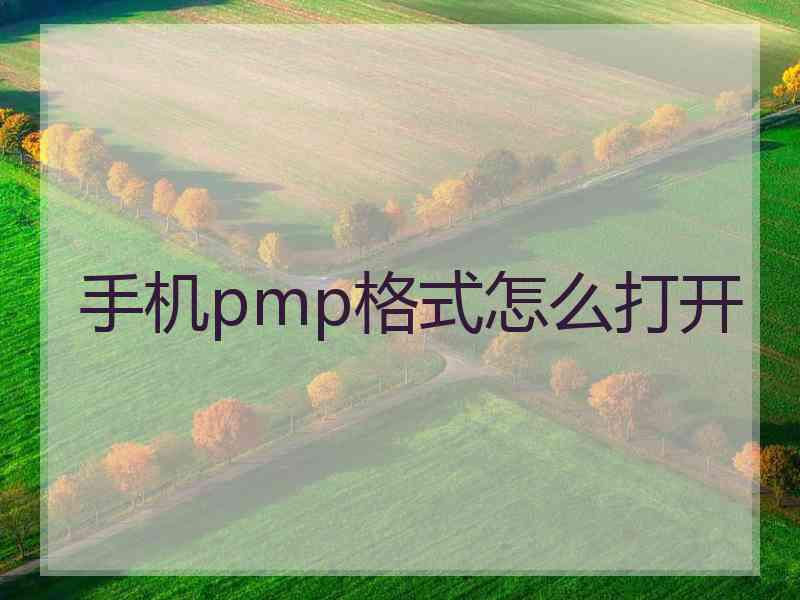 手机pmp格式怎么打开