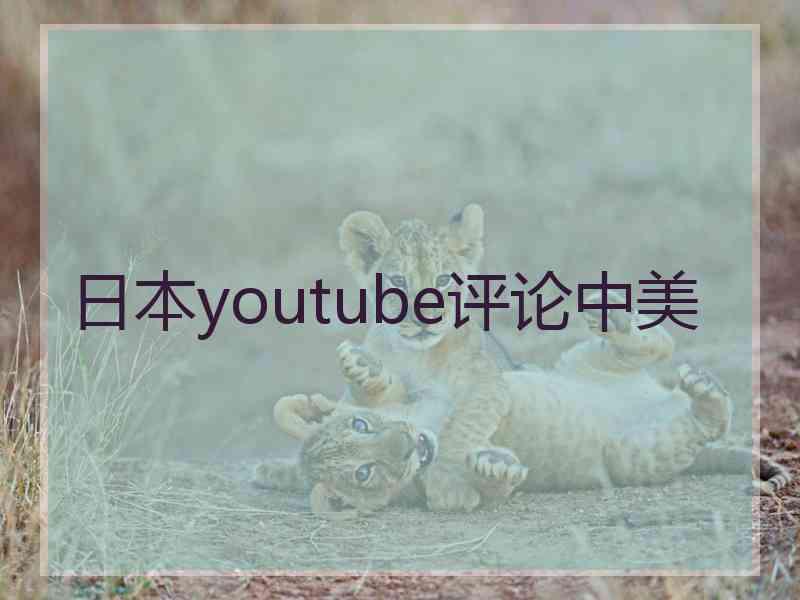 日本youtube评论中美