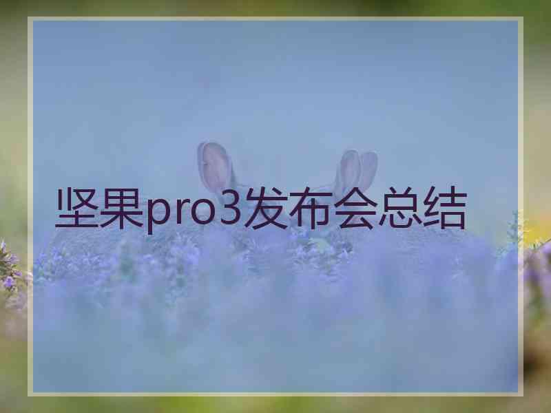 坚果pro3发布会总结