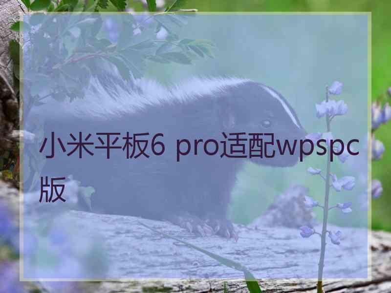 小米平板6 pro适配wpspc版