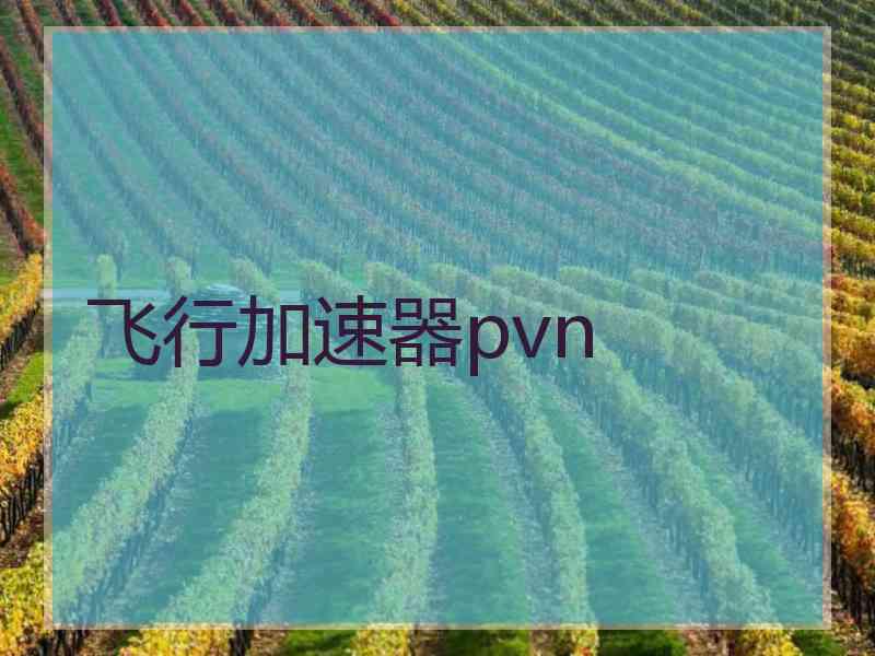 飞行加速器pvn