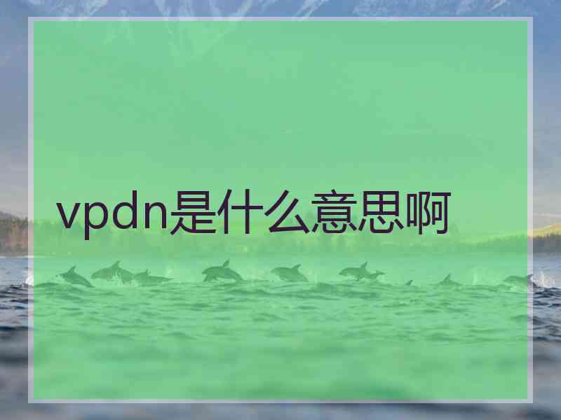 vpdn是什么意思啊