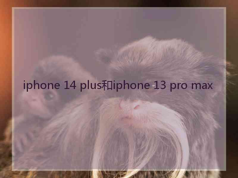 iphone 14 plus和iphone 13 pro max