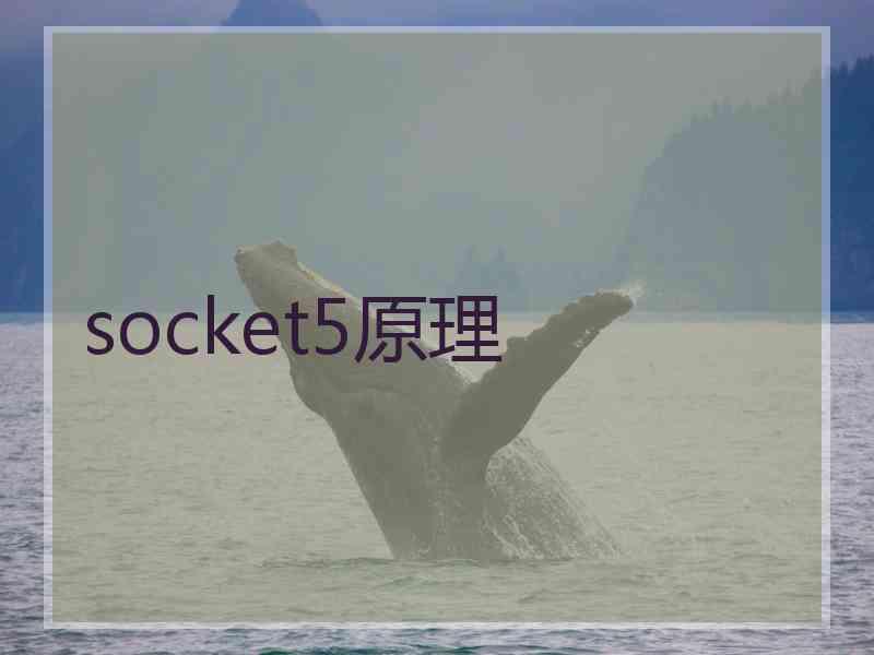 socket5原理