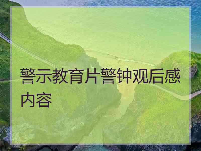 警示教育片警钟观后感内容