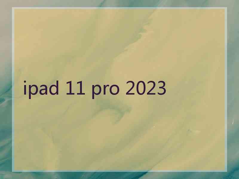 ipad 11 pro 2023