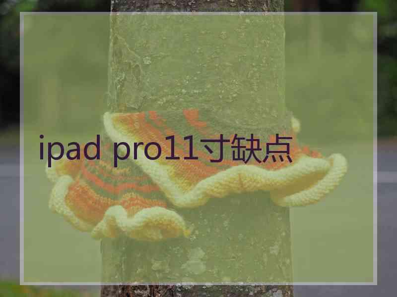 ipad pro11寸缺点