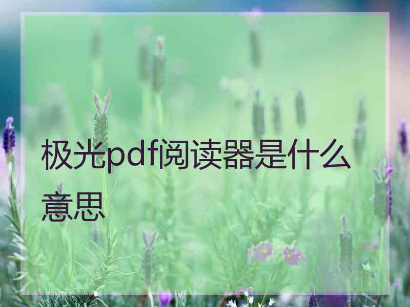 极光pdf阅读器是什么意思