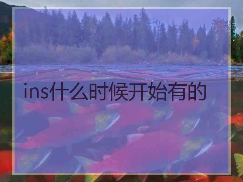 ins什么时候开始有的