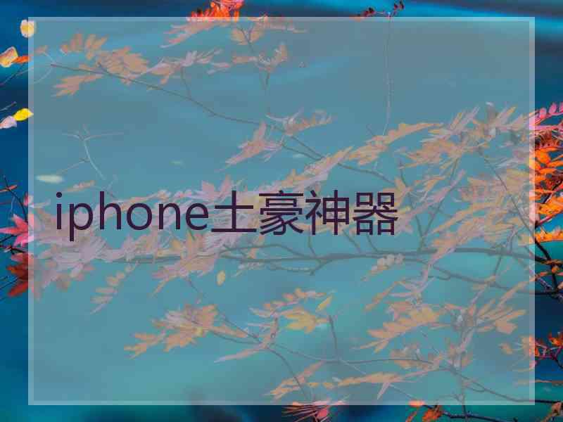 iphone土豪神器