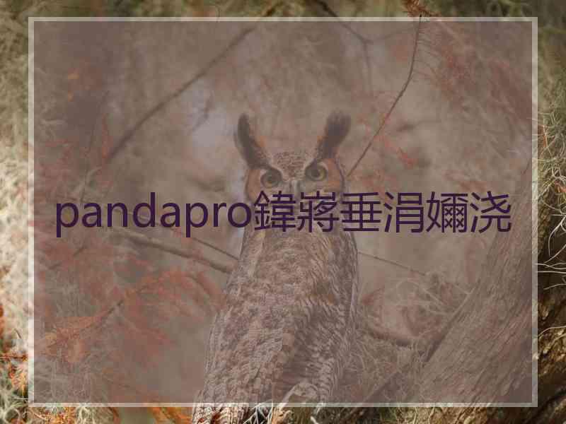 pandapro鍏嶈垂涓嬭浇