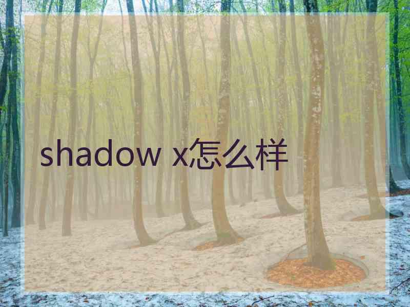 shadow x怎么样