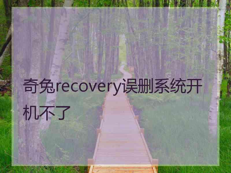 奇兔recovery误删系统开机不了