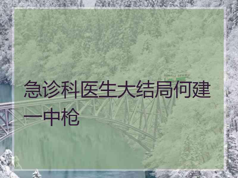 急诊科医生大结局何建一中枪