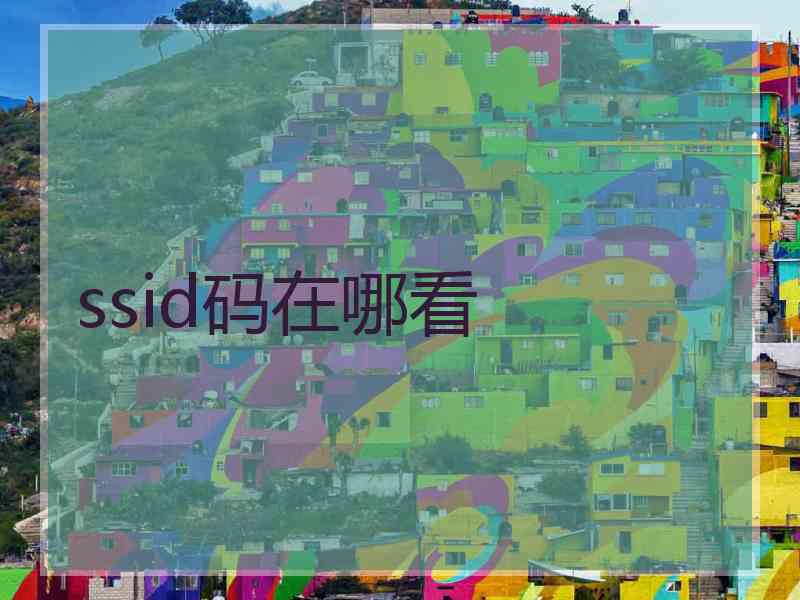 ssid码在哪看