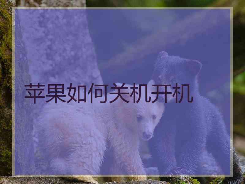 苹果如何关机开机