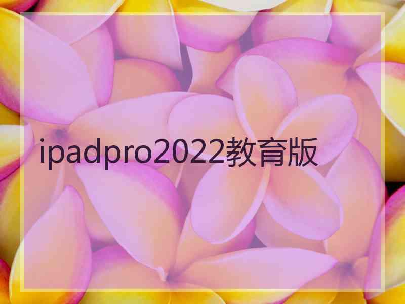 ipadpro2022教育版