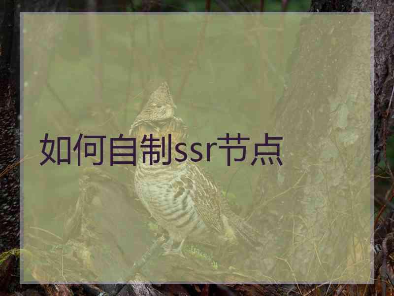 如何自制ssr节点