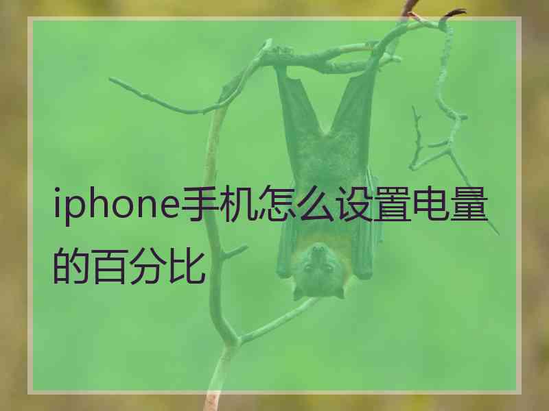 iphone手机怎么设置电量的百分比