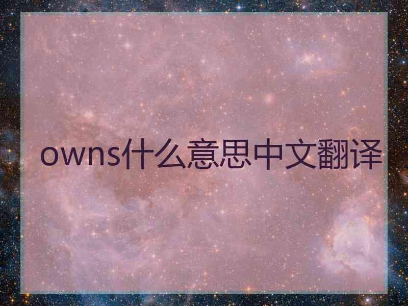 owns什么意思中文翻译