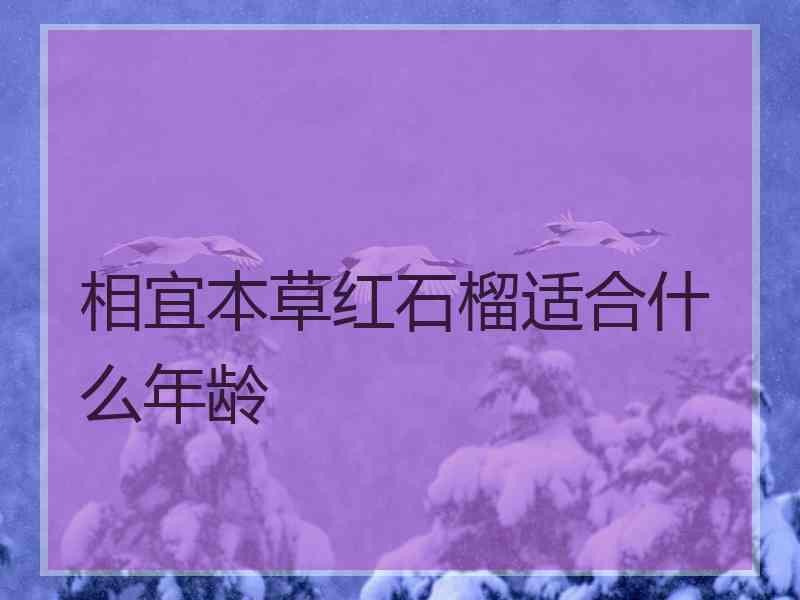 相宜本草红石榴适合什么年龄