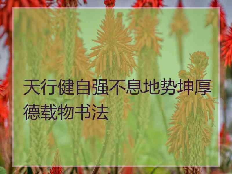 天行健自强不息地势坤厚德载物书法