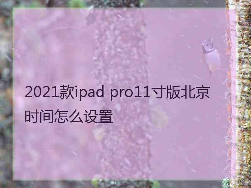 2021款ipad pro11寸版北京时间怎么设置