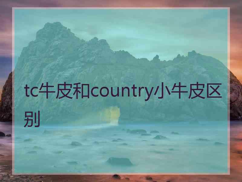 tc牛皮和country小牛皮区别