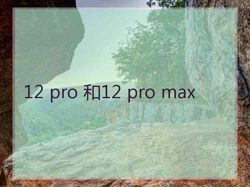 12 pro 和12 pro max