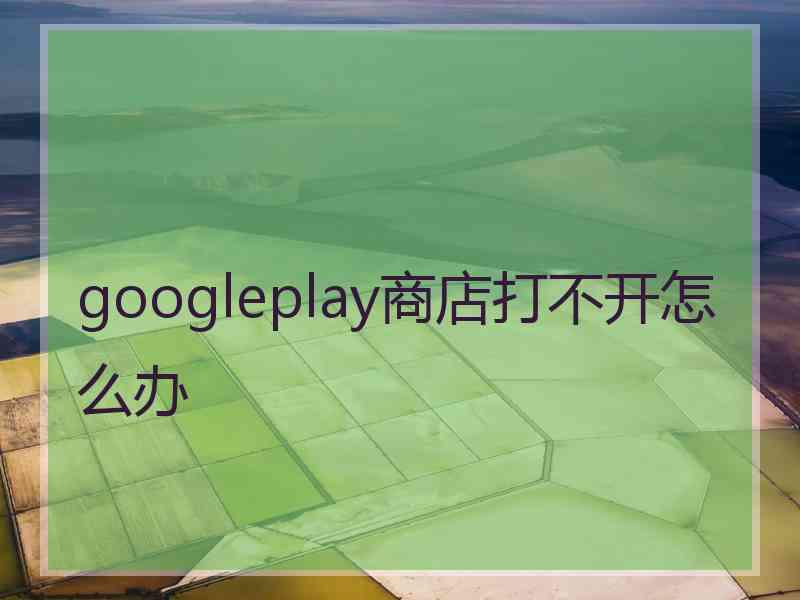 googleplay商店打不开怎么办