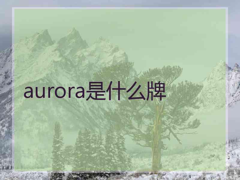 aurora是什么牌