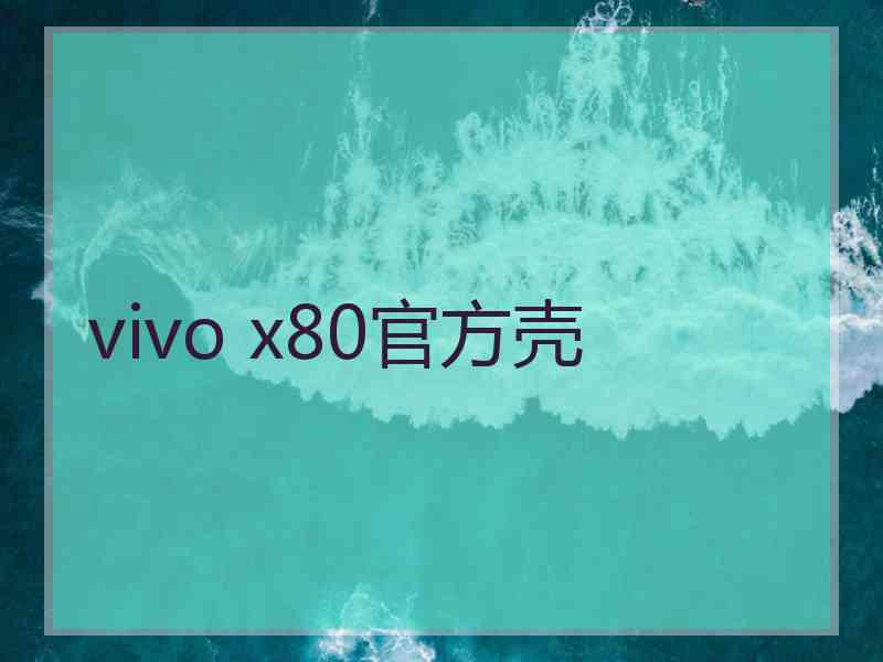 vivo x80官方壳